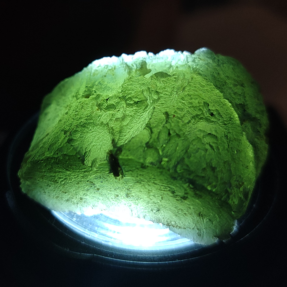 Moldavite (Brusna) 25.66G / 128.3ct *faceting potential $$*